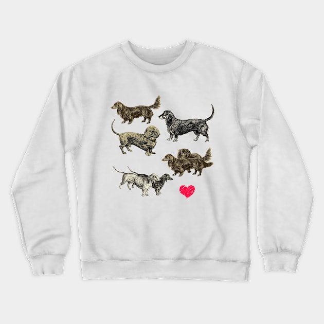 I LOVE DACHSHUNDS Crewneck Sweatshirt by Biophilia